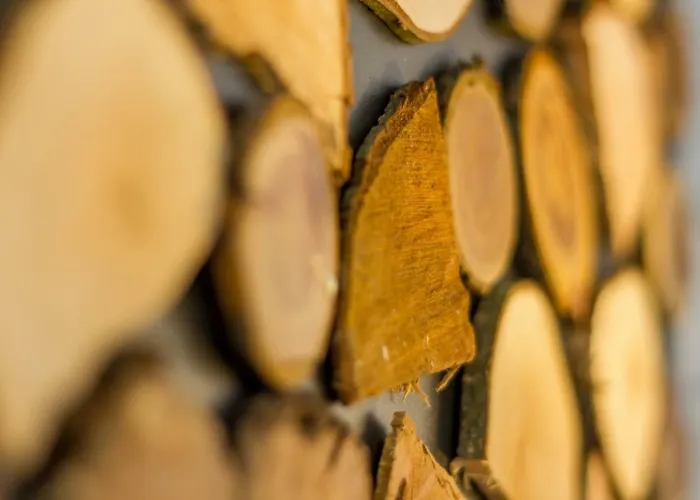 Koete Haus Διαμέρισμα *